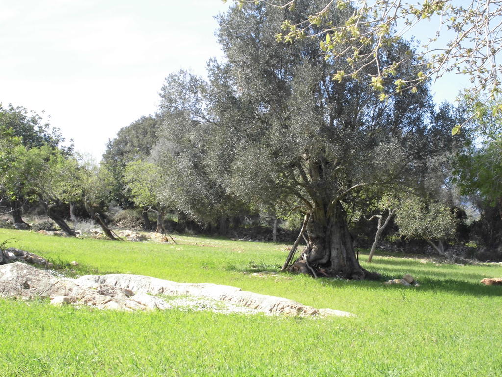 Agroturismo Na Set Centes - Adults Only Artá Kültér fotó
