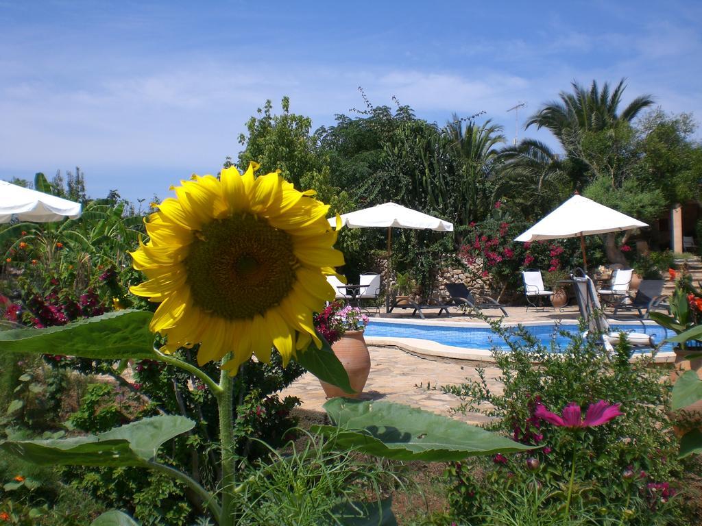 Agroturismo Na Set Centes - Adults Only Artá Kültér fotó